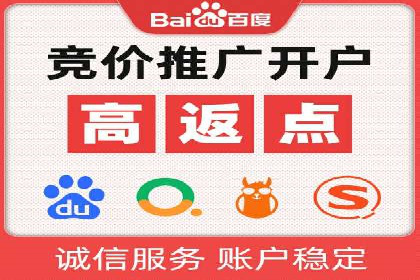 百度推广全攻略：成功案例剖析